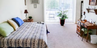 Washington Court Gallery 6