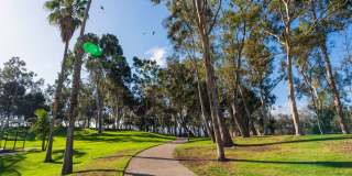 New Torrance Home! Gallery 43
