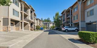 Vue Issaquah Gallery 59