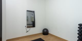 Starling Gallery 42