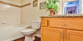 Boulders at Lone Mountain Gallery 29