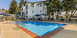 The Hazelwood Gallery 2