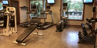 Springs at Palma Sola Gallery 22