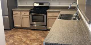 Stunning 3 bedroom 3 bath with Guest House in Sun City Anthem for 55+! Gallery 11