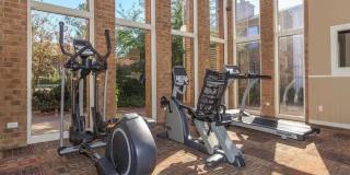 Midtown Flats Gallery 21