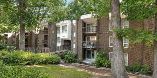 The Forest Apartments Gallery 34
