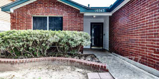 10343 Lion Chase Gallery 4