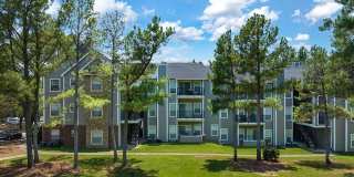 The Falls and Woods of Hoover Gallery 37