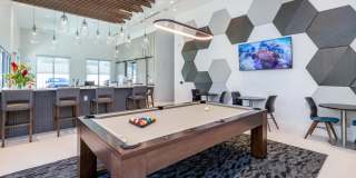 Mira at Palmer Ranch - 55+ Senior Living Community Gallery 43