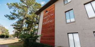 Ashton at Harding Gallery 31