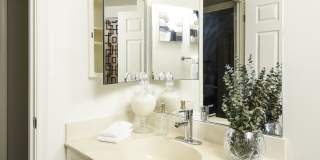 Chestnut Oaks, 55+ Gallery 10