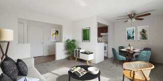 Midtown Towers Gallery 5