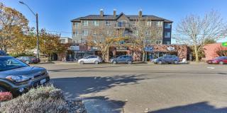 The Morgan Gallery 1