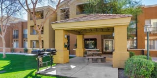 Ventura Vista Gallery 22