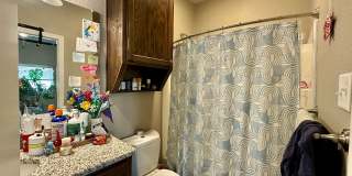 Spacious 4-Bed, 4.5-Bath Home in the Heart of the Baylor Bubble! Gallery 8