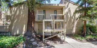 988 Kiely Blvd Unit E Gallery 11