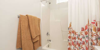 Birchwood Park Gallery 37