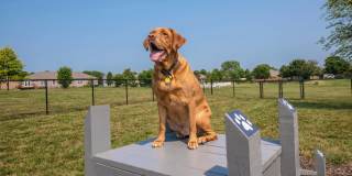 Emory Lakes Luxury Apartments Gallery 27