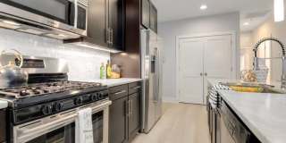 Modern 1BR/1BA with Private Terrace in the heart of Adams Morgan Gallery 5