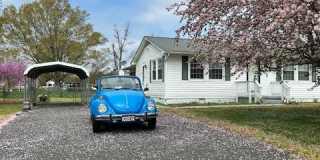 59 Mattox Bay Drive Gallery 1