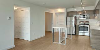 Queen Anne Flats Gallery 14