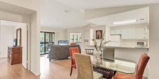 4017 CROCKERS LAKE BOULEVARD Gallery 2