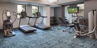 The Ellipse on Excelsior Gallery 26