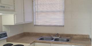 913 Willow St - 2BR/1BA apartment with yard, near Midtown - Hidden Gem! Available May 18th. Gallery 2