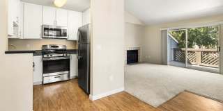 Lantern Cove Gallery 11