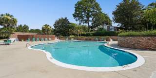 The Palms Gallery 13