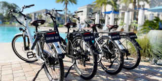 Banyan Bay Gallery 33