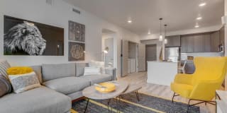 Harmony 3900 Gallery 19