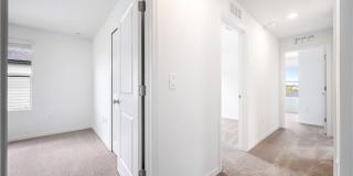 4090 San Felice Ln Gallery 30