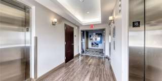 150 Las Vegas Boulevard Gallery 38