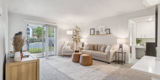 Pebble Creek Gallery 6