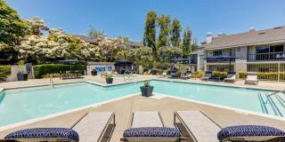 Harbor Pointe Apartments Gallery 1