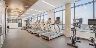 Solaire 8200 Dixon Gallery 24