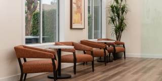 Camino Real Gallery 20