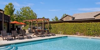 Morningside Creek Apartments Gallery 14