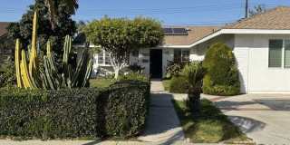 5501 Stardust Gallery 1