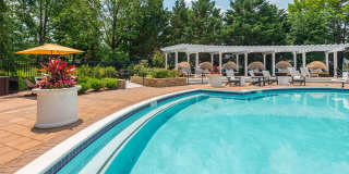 Windsor Herndon Gallery 5
