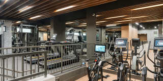 Silhouette Gallery 21