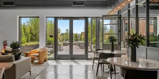 Alder at Allston Yards Gallery 37