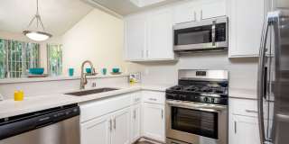 Harborview Gallery 1