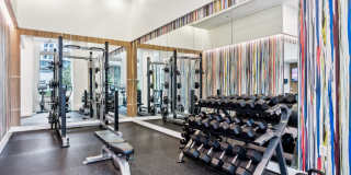 The View Ballston Gallery 6