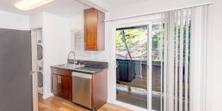 Ocean Vista Gallery 46