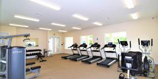 3554 SHINER Drive Gallery 17