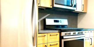 Stunning 2 Bed 2 Bath Gallery 6