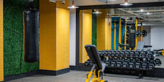 Halstead Burlington Gallery 15