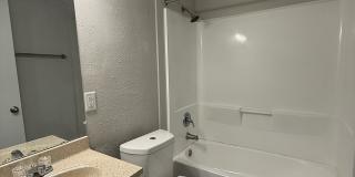 Marsh Cove & Somerset Gallery 45